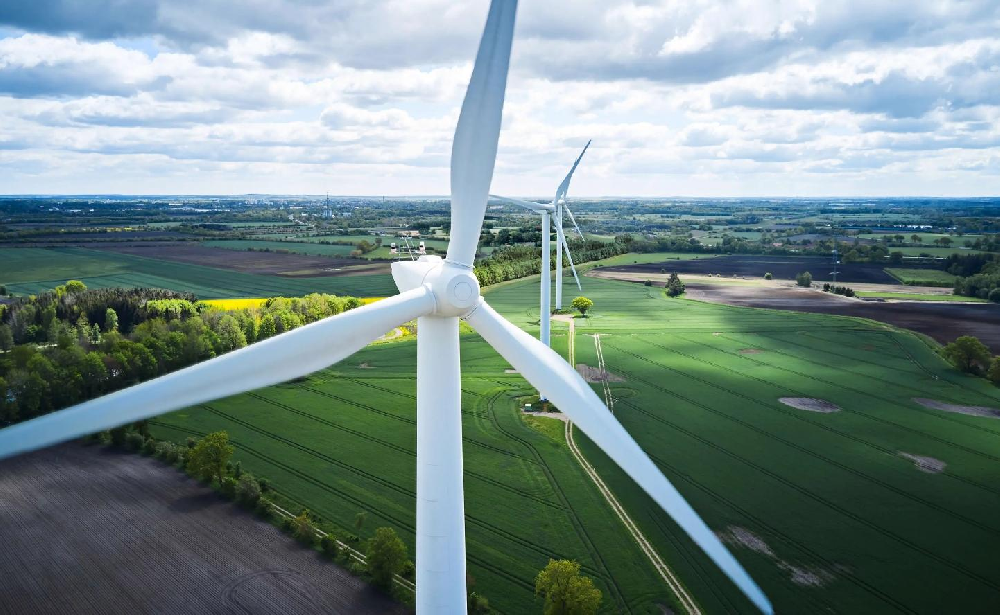 天津市武清區鑫盛電投崔黃口風電項目配套110kV送出線路工程水土保持方案報告表公示